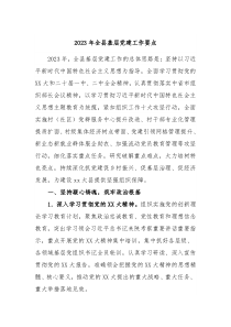 20XX年全县基层党建工作要点