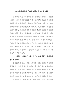 20XX年县领导班子建设年活动上的发言材料