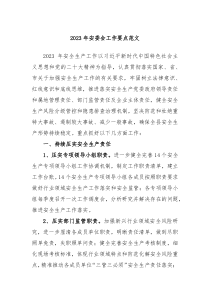 20XX年安委会工作要点范文