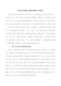 20XX年实施乡村振兴战略工作综述