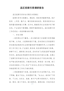 县区招商引资调研报告