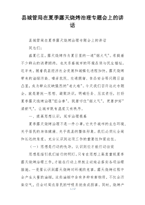 县城管局在夏季露天烧烤治理专题会上的讲话