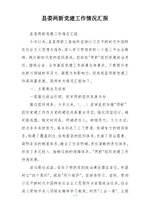 县委两新党建工作情况汇报