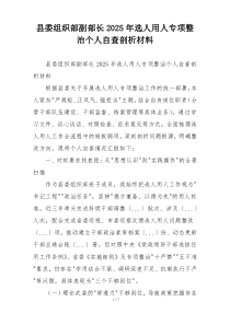 县委组织部副部长2025年选人用人专项整治个人自查剖析材料