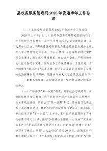 县政务服务管理局2025年党建半年工作总结