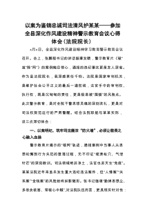 参加全县深化作风建设精神警示教育会议心得体会（法院院长）