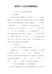 县青年人才党支部调研报告