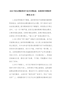 20XX年度主题教育班子成员对照检查检视剖析问题清单精选20条