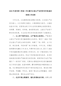 20XX年度党委党组书记履行全面从严治党责任和抓基层党建工作述职