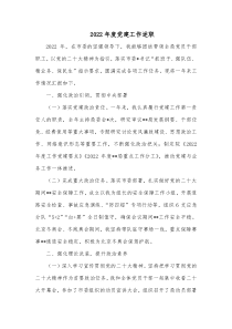 20XX年度党建工作述职