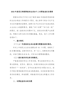 20XX年度党支部副职组织生活会个人对照检查发言提纲
