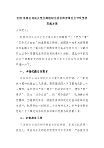 20XX年度公司机关党支部组织生活会和开展民主评议党员