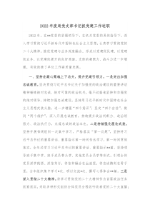 20XX年度局党支部书记抓党建工作述职