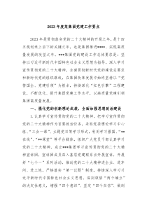 20XX年度某集团党建工作要点