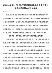 在2025年镇村（社区）干部任期和离任经济责任审计工作动员部署会议上的讲话