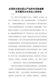 在局党支部全面从严治党专项检查整改专题民主生活会上的讲话