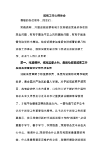 巡视工作心得体会