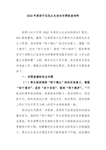 20XX年度班子在民主生活会对照检查材料