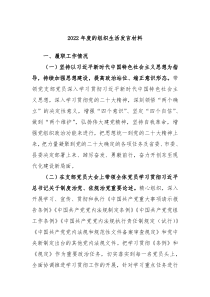 20XX年度的组织生活发言材料