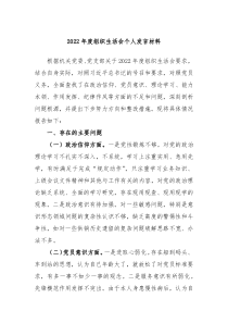 20XX年度组织生活会个人发言材料