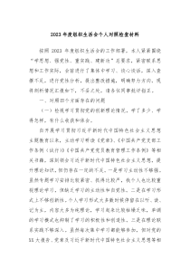 20XX年度组织生活会个人对照检查材料