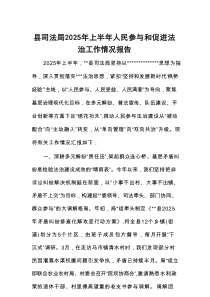县司法局2025年上半年人民参与和促进法治工作情况报告