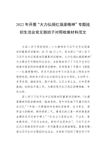20XX年开展大力弘扬红旗渠精神专题组织生活会党支部班子对照检查材料范文
