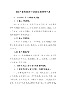 20XX年春季森林防火面临的主要形势和问题