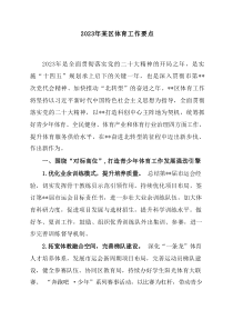 20XX年某区体育工作要点