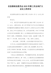在县委政法委员会2025年第三次全体扩大会议上的讲话