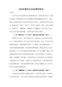 20XX年民主生活会督导发言