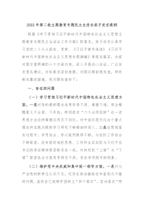 20XX年第二批主题教育专题民主生活会班子发言提纲