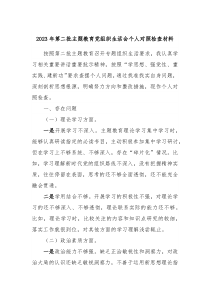 20XX年第二批主题教育党组织生活会个人对照检查材料