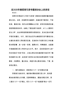 在2025年镇招商引资专题培训会上的讲话