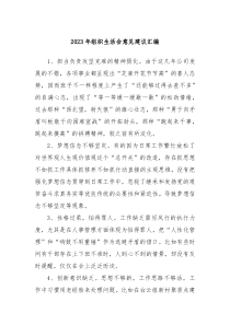 20XX年组织生活会意见建议汇编