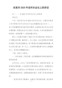 在某市2025年总河长会议上的讲话