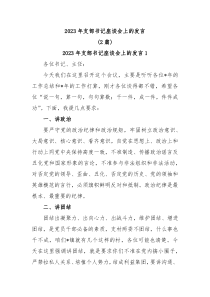 2篇20XX年支部书记座谈会上的发言