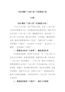 2篇20XX最新三抓三促行动情况小结