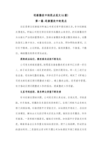 4篇巡察整改中的亮点范文