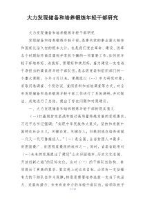 大力发现储备和培养锻炼年轻干部研究