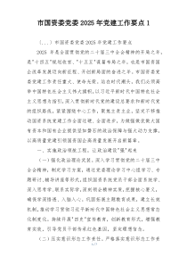 市国资委党委2025年党建工作要点1