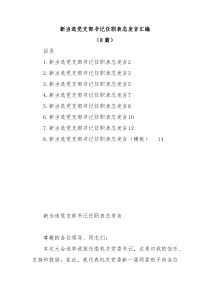 8篇当选党支部书记任职表态发言汇编