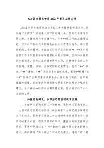 XXX区市场监管局20XX年重点工作安排