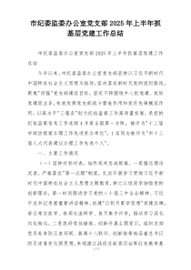 市纪委监委办公室党支部2025年上半年抓基层党建工作总结