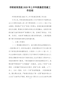 市财政局党组2025年上半年抓基层党建工作总结