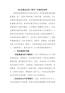 XXX民营企业家两会交流发言材料