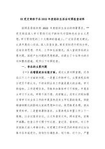 XX党支部班子在20XX年度组织生活会对照检查材料