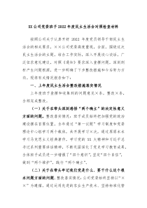 XX公司党委班子20XX年度民主生活会对照检查材料