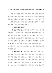 XX公司党支部书记20XX年度组织生活会个人对照检查材料