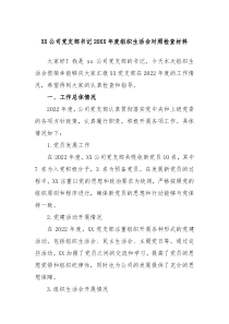 XX公司党支部书记20XX年度组织生活会对照检查材料